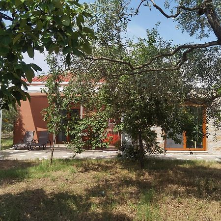 Elea Stone Houses In Organic Quiet Olive Grove, Prinos, Thassos 객실 사진