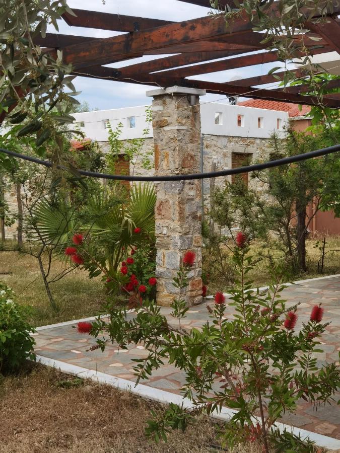 Elea Stone Houses In Organic Quiet Olive Grove, Prinos, Thassos 외부 사진