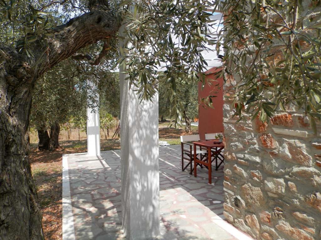 Elea Stone Houses In Organic Quiet Olive Grove, Prinos, Thassos 외부 사진