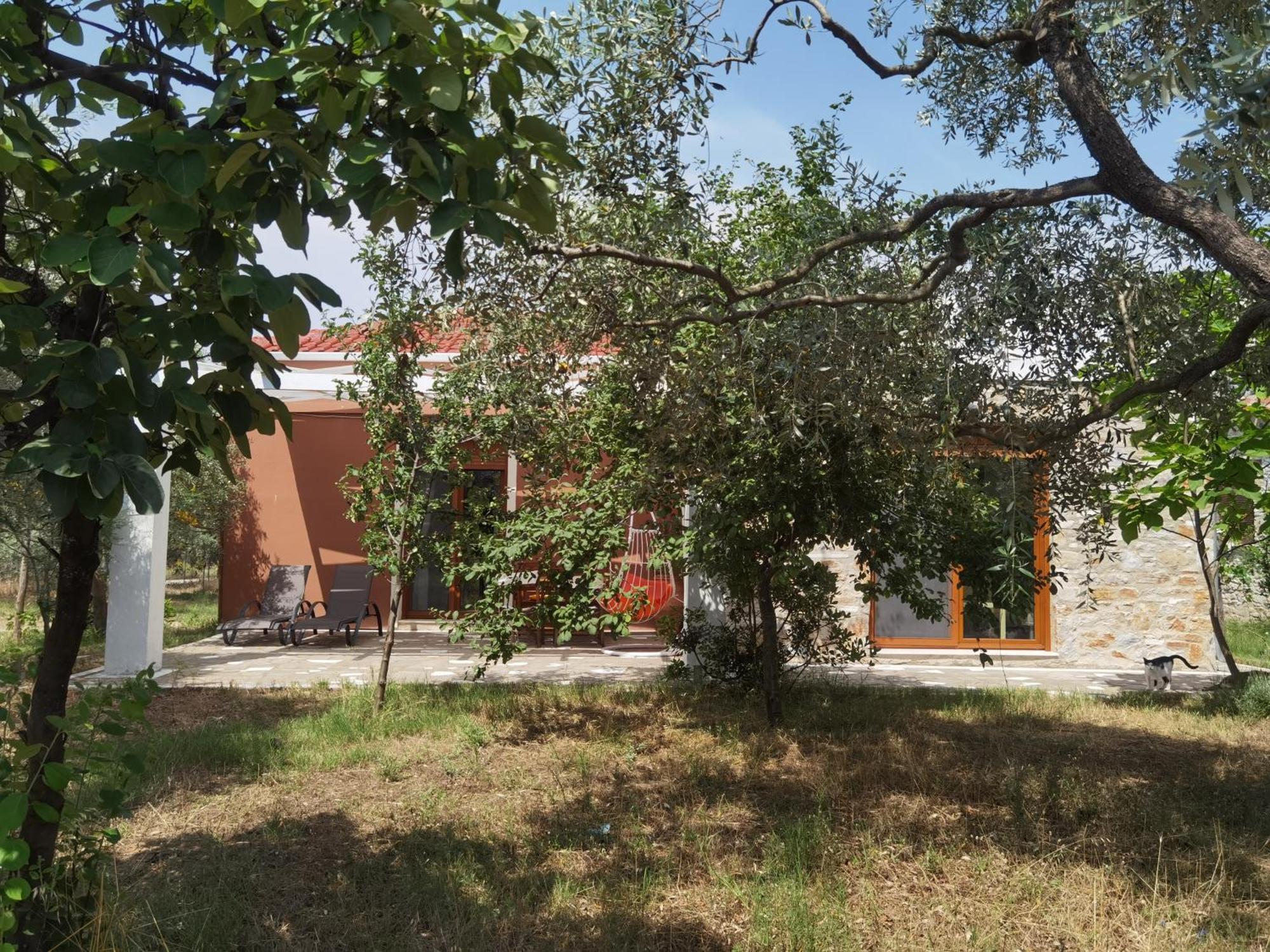 Elea Stone Houses In Organic Quiet Olive Grove, Prinos, Thassos 객실 사진