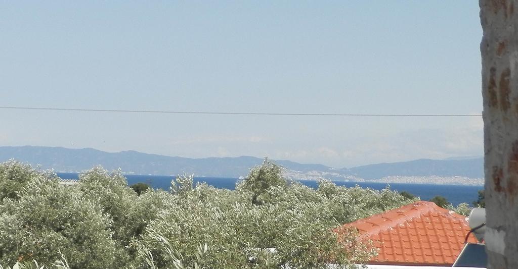 Elea Stone Houses In Organic Quiet Olive Grove, Prinos, Thassos 외부 사진