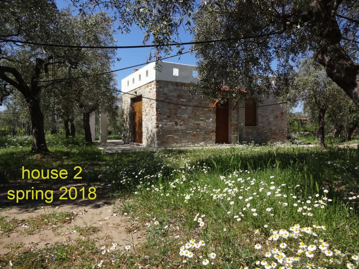 Elea Stone Houses In Organic Quiet Olive Grove, Prinos, Thassos 외부 사진