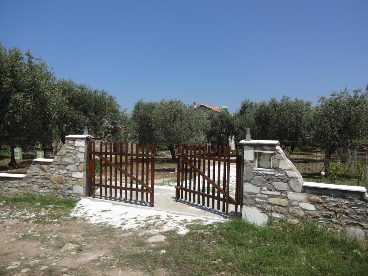 Elea Stone Houses In Organic Quiet Olive Grove, Prinos, Thassos 외부 사진
